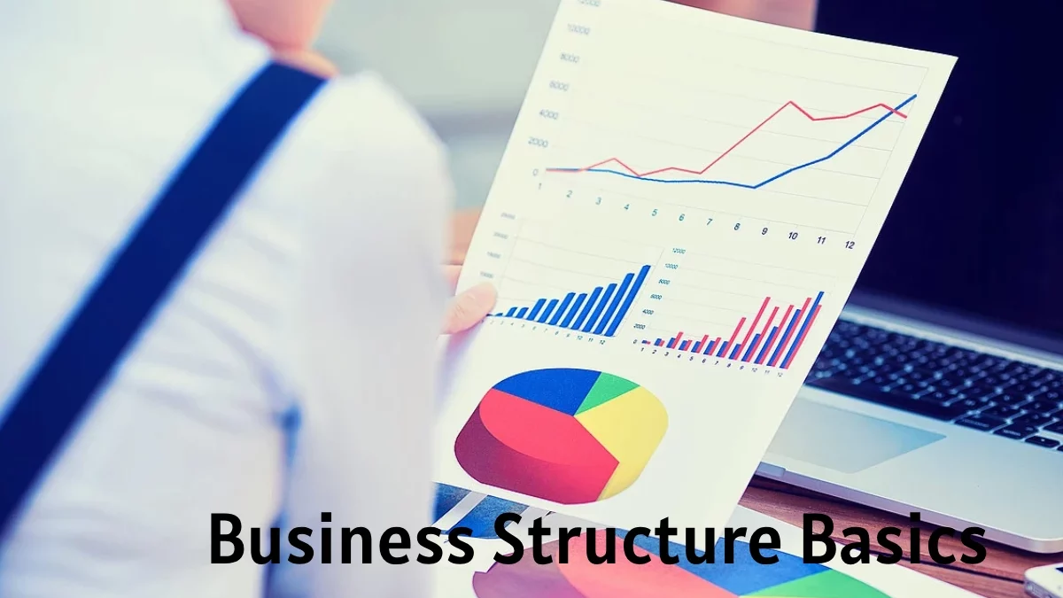 Business Structure Basics