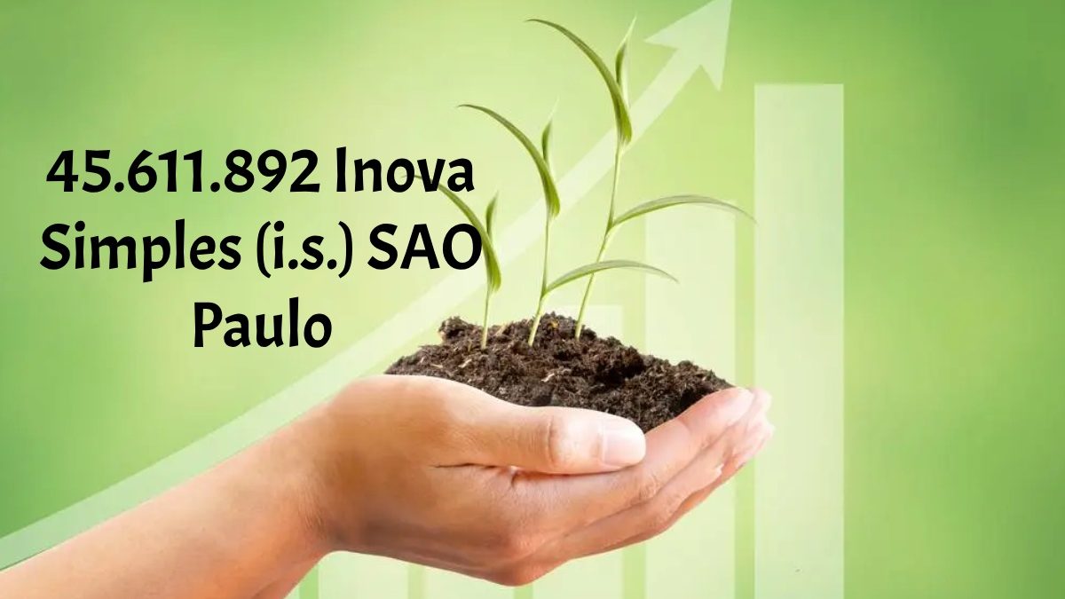 45.611.892 Inova Simples (i.s.) SAO Paulo